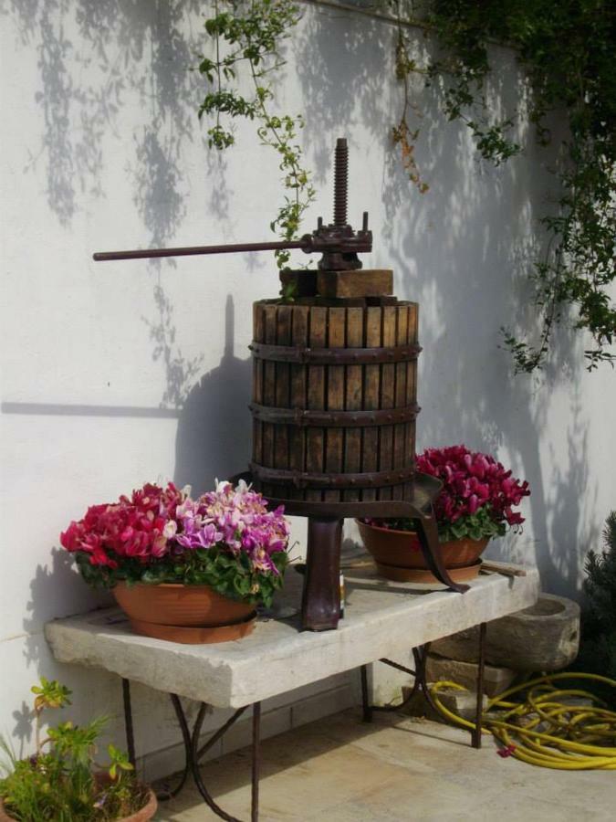B&B Le Coppe Bisceglie Exteriör bild